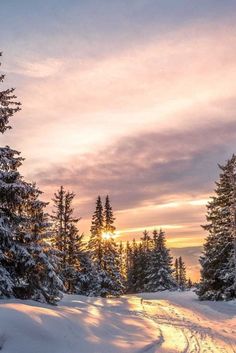 the sun is setting on a snowy road with trees in the foreground and snow covered ground