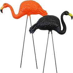 two flamingos are standing on legs and one is orange