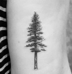 a small pine tree tattoo on the right side of the left arm, with black and white ink