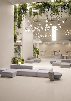 a large room filled with lots of white couches and plants hanging from the ceiling