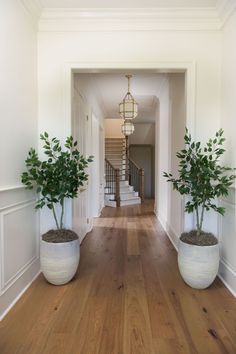 two potted plants on the ground in front of a staircase and entry way to another room