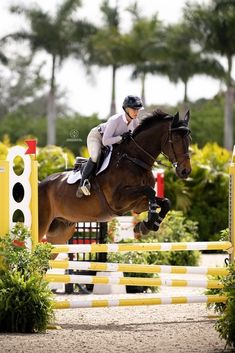 a person jumping a horse over an obstacle