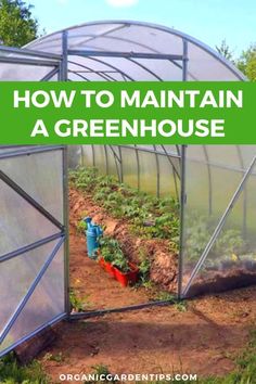 a greenhouse with the words how to maintain a greenhouse on it and an image of plants inside