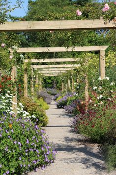 a garden filled with lots of flowers next to a lush green forest covered in purple and white flowers