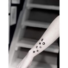 a person with a small tattoo on their arm that has dog paw prints all over it