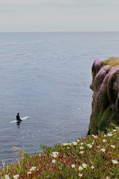 a person on a surfboard in the water near some plants and rocks with purple flowers