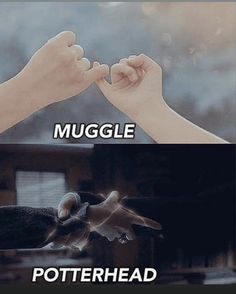 two hands reaching out to each other with the words muggle and potterhead above them