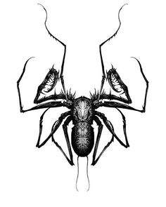 a black and white drawing of a spider with two large antennae on it's head