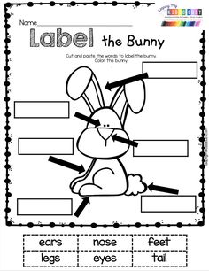 an easter bunny worksheet with labels for labeling the parts of the animal's body