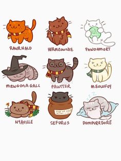 the different types of cats with names on them and pictures in english, french, and spanish