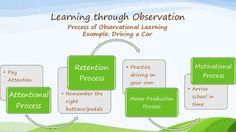 a diagram that shows the process of observation for children to learn how to use it