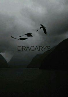 two birds flying in the sky over water under a cloudy sky with words that read dracaryss