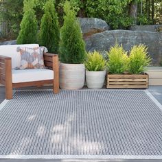 an outdoor area with various plants and potted trees in the background, including a couch