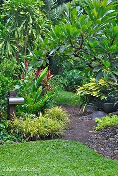 a bench in the middle of a garden with lots of trees and plants around it