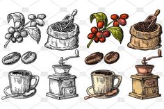 coffee beans, grinder, cup and other items drawn in ink on white paper