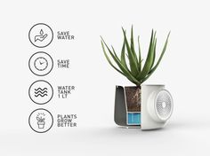 an air purifying device with plants in it and instructions on how to use it