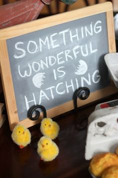 some little chicks are sitting in front of a chalkboard that says something wonderful is hatching