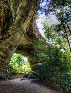 a large rock formation in the middle of a forest with trees on both sides and a path leading up to it