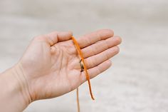 a person holding an orange string in their hand