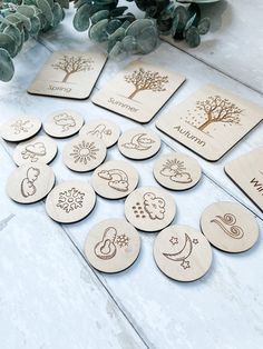 wooden coasters with different designs on them sitting next to some succulent plants