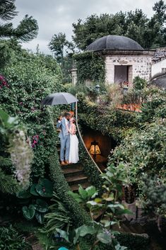 a bride and groom are standing under an umbrella in the middle of some bushes, surrounded by greenery