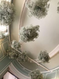 an overhead view of the ceiling in a building with trees growing on it's sides