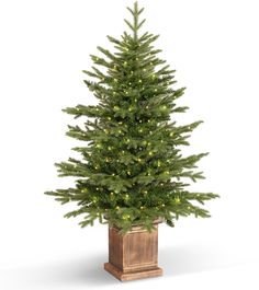 a small christmas tree in a wooden pot with lights on it's top and bottom