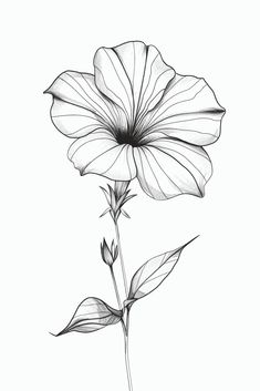 a black and white photo of a flower