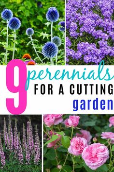 different types of flowers and plants with the title 9 perennials for a cutting garden