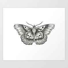 a black and white drawing of a butterfly