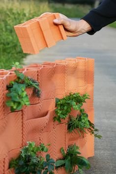 a person is placing plants in an orange planter