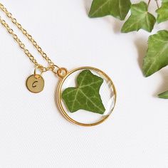 In my botanical jewelry, no two leaves are alike. Therefore, this personalized initial necklace is made just for you; a pressed leaf necklace from my botanical jewelry. Make this personalized letter necklace for women the perfect complement you've always been looking for. Or make this birthday gift the perfect gift for her. Combine this ivy jewelry with your favorite colors; wear this personalized initial necklace with your most elegant or casual clothes. Either way, you will look beautiful and Moss Jewelry, Terrarium Jewelry, Botanical Jewelry, Jewelry Personalized, Personalized Letters, Leaf Jewelry, Jewelry Birthday, Resin Necklace, Leaf Necklace