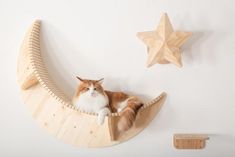 an orange and white cat sitting on top of a crescent moon shaped shelf next to wooden stars