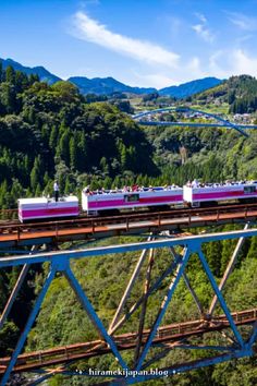 a train traveling over a bridge in the middle of a lush green forest covered valley