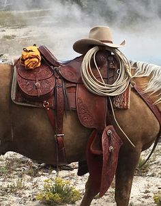 a brown horse wearing a cowboy hat and saddle standing in the desert with steam coming from its back