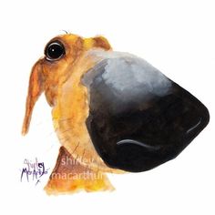 a watercolor painting of a bird's head with large black beak and brown feathers