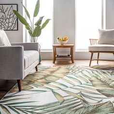 a living room with two chairs and a rug in front of the window that has plants on it