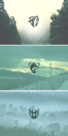 three different images with trees in the background and fog on the ground, one has an animal's head