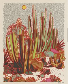 an image of cactuses and other plants in the desert with sun shining through them