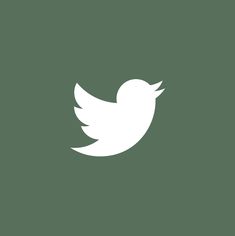 a white twitter logo on a green background