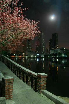 the city lights shine brightly in the night sky over water and trees with pink blossoms