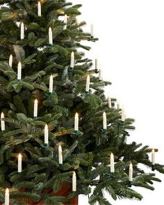 a christmas tree with lit candles in it