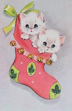 two kittens are sitting in a christmas stocking