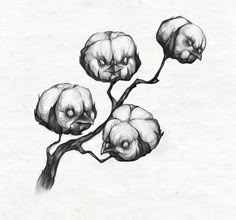 a black and white drawing of three flowers on a branch with one flower in the middle