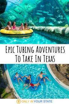 people swimming in an aquarium with text overlay reading epic tubing adventures to take in texas