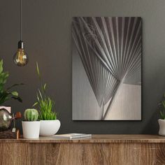 some plants are sitting on top of a wooden shelf in front of a gray wall