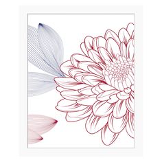 a red and blue flower on a white background