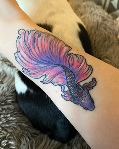 Betta Fish Tattoo, Betta fish tattoo design, women's Betta fish tattoo, Betta fish tattoo designs, simple Betta fish tattoo, watercolor betta fish tattoo, Betta fish tattoo small, black Betta fish tattoo, small Betta fish tattoo, realistic betta fish tattoo, betta fish tattoo simple, betta fish tattoo drawing, betta fish tattoo ideas, red betta fish tattoo, geometric betta fish tattoo, Betta fish tattoo traditional,Female betta fish Tattoo,Betta fish tattoo outline,Siamese fighting fish Tattoo Pleco Fish