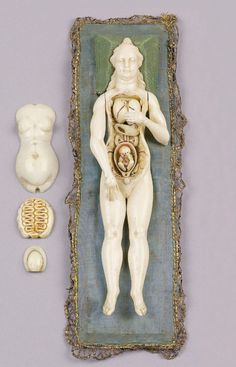 an image of a human figure with other items around it