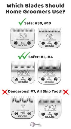 four different types of combs with the words which blades should be used for home groomers use?